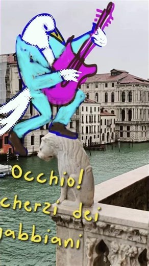 Venice Seagull Pranks🛶🔥 Scherzi dei gabbiani a Venezia🤞