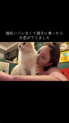 何事も欲張るとダメですな。 #猫#猫のいる暮らし #スコティッシュフォールド #スコティッシュフォールド立ち耳 #猫吸い . . . @こぴ
