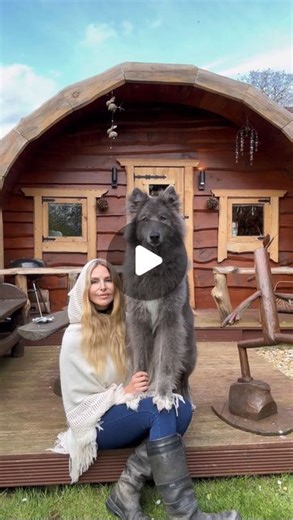 @my_blue_wolf_ | Ocean howled perfectly along to the theme tune of The Hobbit! Must be the beautiful house we’re staying in right now inspiring her. ‘A... | Instagram