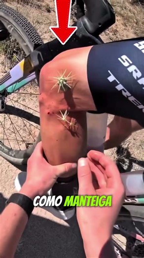 O Cacto que SALTA em Você 😱🌵 (Isso é Real!)