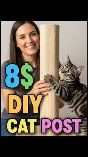 This $8 DIY Cat Scratching Post Saved My Couch (Luna Went CRAZY!)