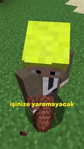 SAKIN TÜM KALPLERİNİ BİTİRME #shorts #minecraft