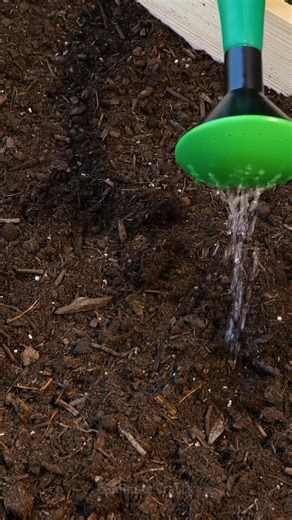 Creative gardening tips to make your plants bloom! | 5-Minute Crafts