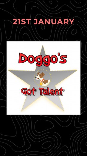 3.1K views · 18 reactions | Witness the incredible bond between our fur heroes and handlers at the PSA K9: Tri-Canine Event. Every paw print tells a story of dedication, bravery, and unconditional love.  Early Bird Tickets Coming Soon ️ Get Ready with your Furry Companion to attend the best Pet Event in the Town!! Comment down ''Interested" to know more ⬇ | Fur Ball Storyᵀᴹ | Facebook