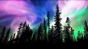 Wie entstehen Polarlichter? Himmelserscheinung einfach erklärt