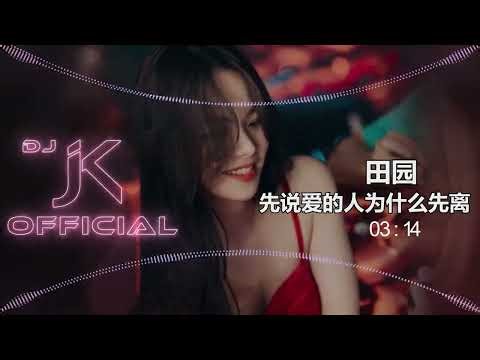 田园 - 先说爱的人为什么先离开 DjJK ProgHouse Remix⚡ 抖音歌曲 | 热门DJ音乐 | 先说爱的人为什么先离开 ]