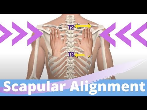 Scapular Alignment Assessment Techniques I Faulty Positions I Shoulder Kinesiology
