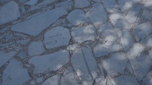 Stone Path Texture Urban Park Illuminated Stock Footage Video (100% Royalty-free) 1109613885 | Shutterstock