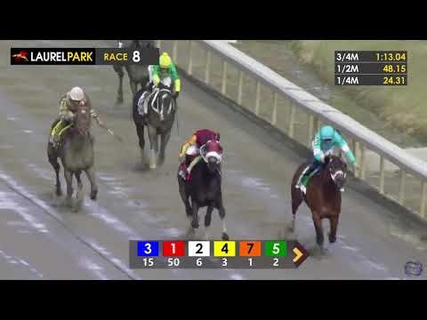 2026 Miracle Wood Stakes - Undefeated Taj Mahal Out Duels Let's Go Lando at Laurel Park - 02/21/2026