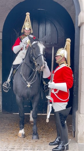 39K views · 592 reactions | "Royal Temperament: A Majestic Horse's Mood in the Spotlight" #Reels #FbReels #FunnyAnimals #Royalhorse #kingshorse #RoyalFamily #London #Guards #RegalHorse #BitingMood #RoyalTemperament #EquestrianEncounter | The Royals King's Guard's England | Facebook