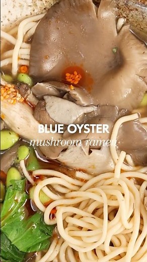 Blue oyster mushroom ramen