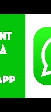 How to update WhatsApp?