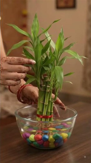 🪴 5 Amazing Indoor Gardening Hacks to Grow Plants Without Soil! 🌿🤯 #shorts