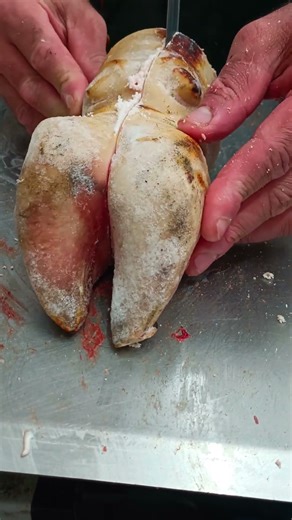 beep paya cutting video #shorts #food #shortvideo