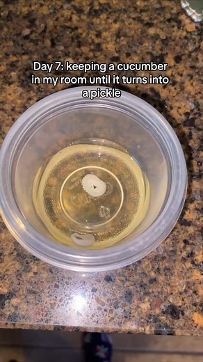 The right way I think. #pickles #foodtok #funny #lol #foryoupage #thepicklegirl00 #gross