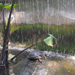 13K views · 799 reactions | good morning ♥️ | Addison Rae | Facebook