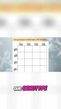 Unlock Rabbit Genetics: Master Punnett Squares & Genotypes! #shorts