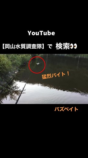 岡山のバス釣り：バズベイトと野池の魅力