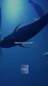 comment draguer une fille par SMS Quand on est gros et timide# conseils