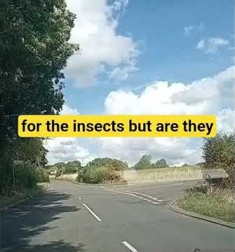 stewardship scheme or paid destruction of brtitains food security? #backbritishfarming #farming