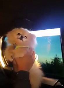 1.1K views · 22 reactions | it's the weekend !! :p | Chatiw | Facebook