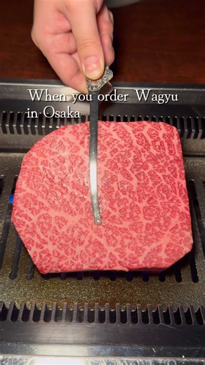 Wagyu Yakiniku Experience in Kitashinchi, Osaka
