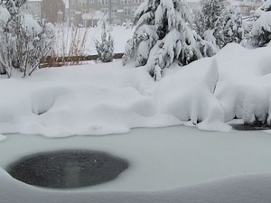 Koi Pond De-Icer: Which One is Best and Do You Need It? - Premier Ponds