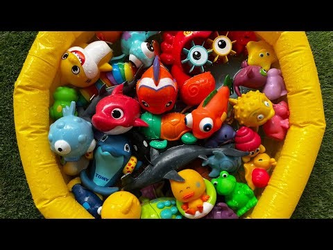 Amazing Sea Animals for children| Learn Ocean Animal Names & Fun Facts| Marine animal toys for kids