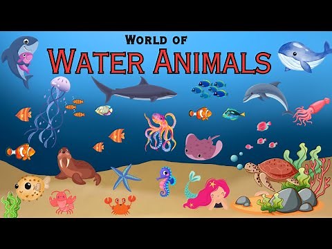 The Aquatic Encyclopedia: 100 Water Animals | Underwater Life | Sea Animals | Water Animals