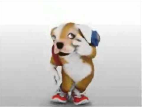 Video Oficial Perro Chacarron