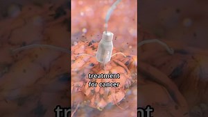 Can microbots revolutionize healthcare?