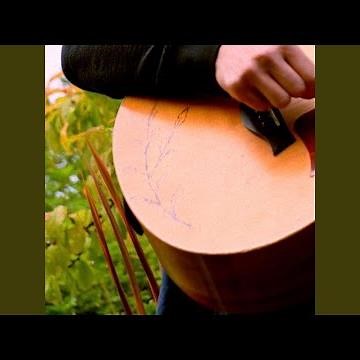 shell shock (acoustic)