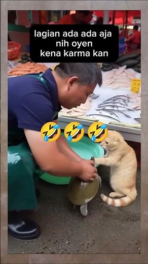 Oyen Sok Jahil,Malah Kena Gigit😁🤣