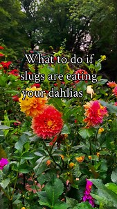 248 reactions · 14 comments | First off…don’t panic. We can control...