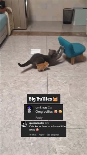 Big Bullies😭 #shorts