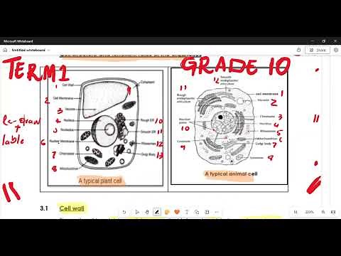 Life Science Grade 10 Cell as a basic unit of life Term 1
