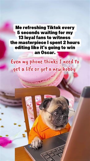 It’s an addiction…. Send help! #obsessed #meme #follow #dog #humor