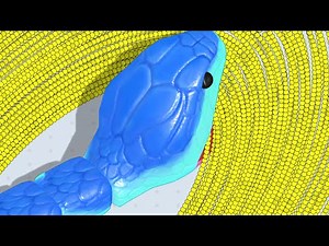 Snake Clash! .io - MAX LEVEL! Epic Snake Clash.io Gameplay!