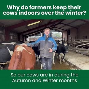 18K views · 245 reactions | Ever wondered why British farmers keep their cows indoors during the winter months? 樂 20 year-old dairy farmer Joe talks you through why they do it and how he makes his cows comfortable ⤵️ | Back British Farming NFU | Facebook