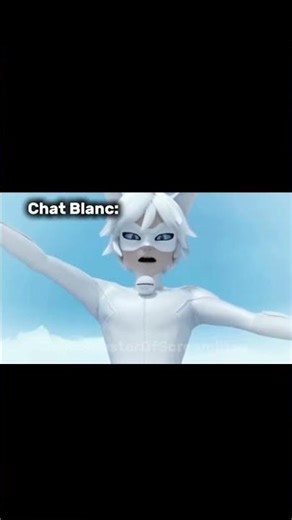 Chat Blanc #mlb #edit #chatblanc