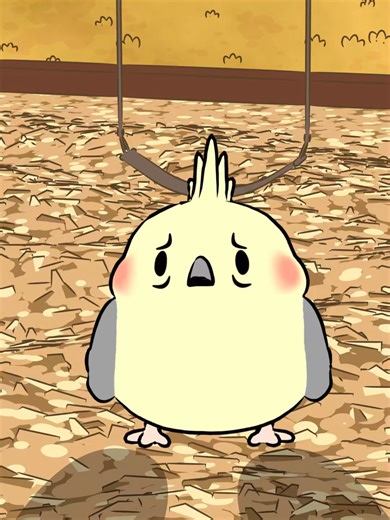 Fun fact: cuckoo birds are capable of mimicking the cries of a sparrowhawk to scare away or intimidate nearby birds. ⚪️ V ⚪️ ONLY 5 DAYS LEFT TO ORDER ROBERT AND HIS TWIN BROTHER 🚨🚨#naturalhabitatshorts #naturalhabitat #naturalhabitok