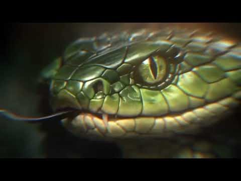 Naagin7!! Today's New Promo...🌸 Watch it everyone.... 🥰 #Naagin #Nagmani #Nsgeswari #Aadinaagin .