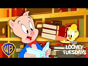 Looney Tunes in the Library! 📚🐷 | Looney Tuesdays | @wbkids​