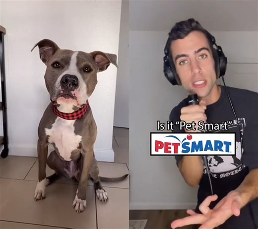 Bringing the metal energy to the way we do anything for pets! Loud, proud, and all about tail wags. 🐶🤘 Find a career that rocks like you do: careers.petsmart.com #LifeAtPetSmart #AnythingForPets | Life at PetSmart