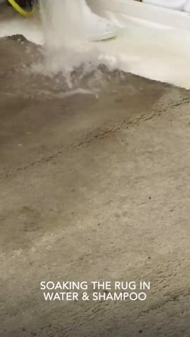 Incredible Cleaning Transforms Muddy Carpets Into Like-New