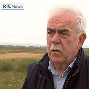 84K views · 2.2K reactions | The grey partridge, one of Ireland's most iconic native game birds, was on the verge of extinction in the late 1990s when its population fell to just 20. Now, the number of grey partridges has increased to about 900 in Co Offaly  | RTÉ News | Facebook