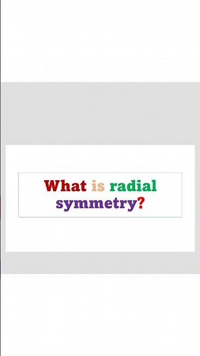 What is radial symmetry?