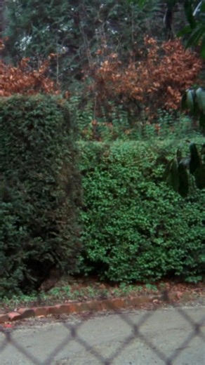 Hammer Presents Crucible of Horror. Experience Crucible of Horror as never before. Painstakingly restored by Hammer from 4K scans of the original film negatives, this stark and unsettling psychological horror returns with newly revealed detail and intensity. Michael Gough stars as Walter Eastwood, a tyrant within his own home: a domineering sadist whose quiet cruelty governs every moment of family life. Leaving behind gothic excess for cold, vérité-style realism, director Viktors Ritelis crafts 