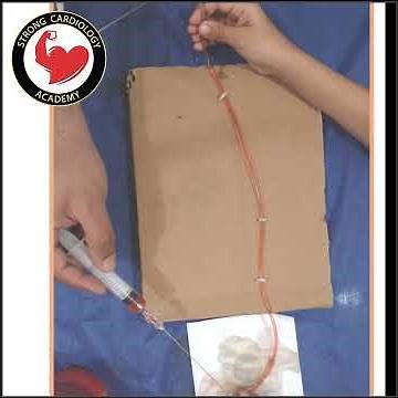 Coronary No reflow explanation way in our PCI course, Dr Alaa Nasr, 2024