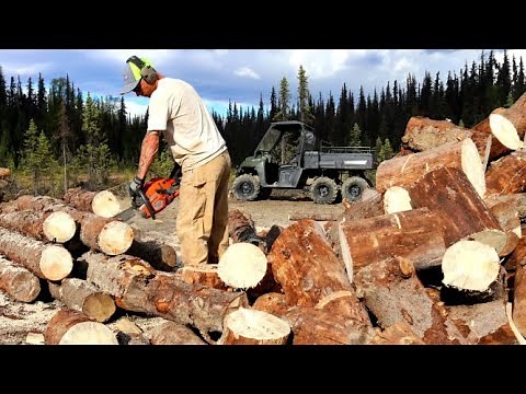 Cutting Firewood and Peeling Logs | Chainsaw Sharpening